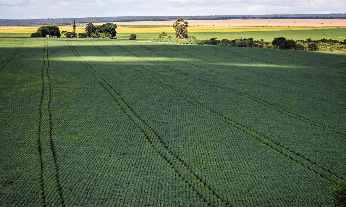Berço das águas, Cerrado recebe 600 mi de litros de agrotóxico por ano