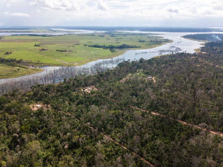 Embargos atingem assentamentos em Mato Grosso