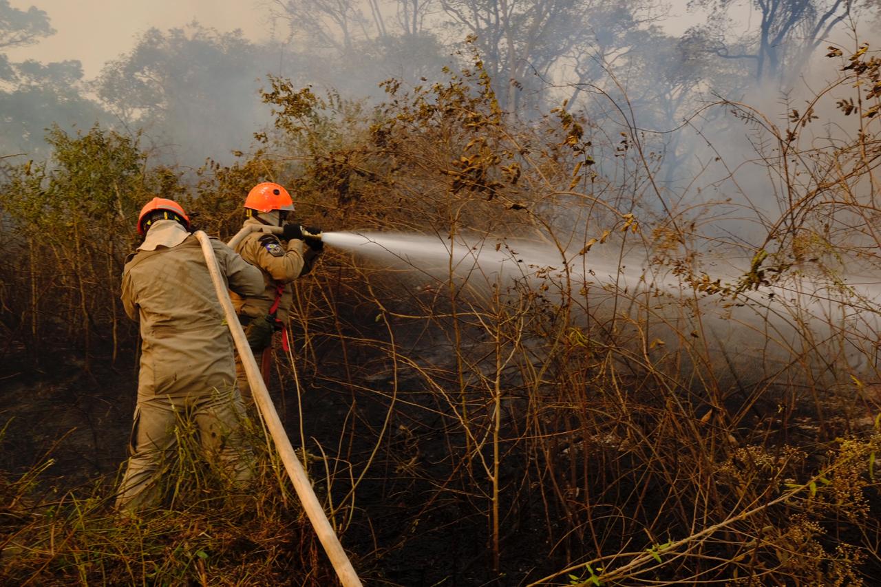 Mato Grosso enfrenta calor intenso e risco elevado de incêndios