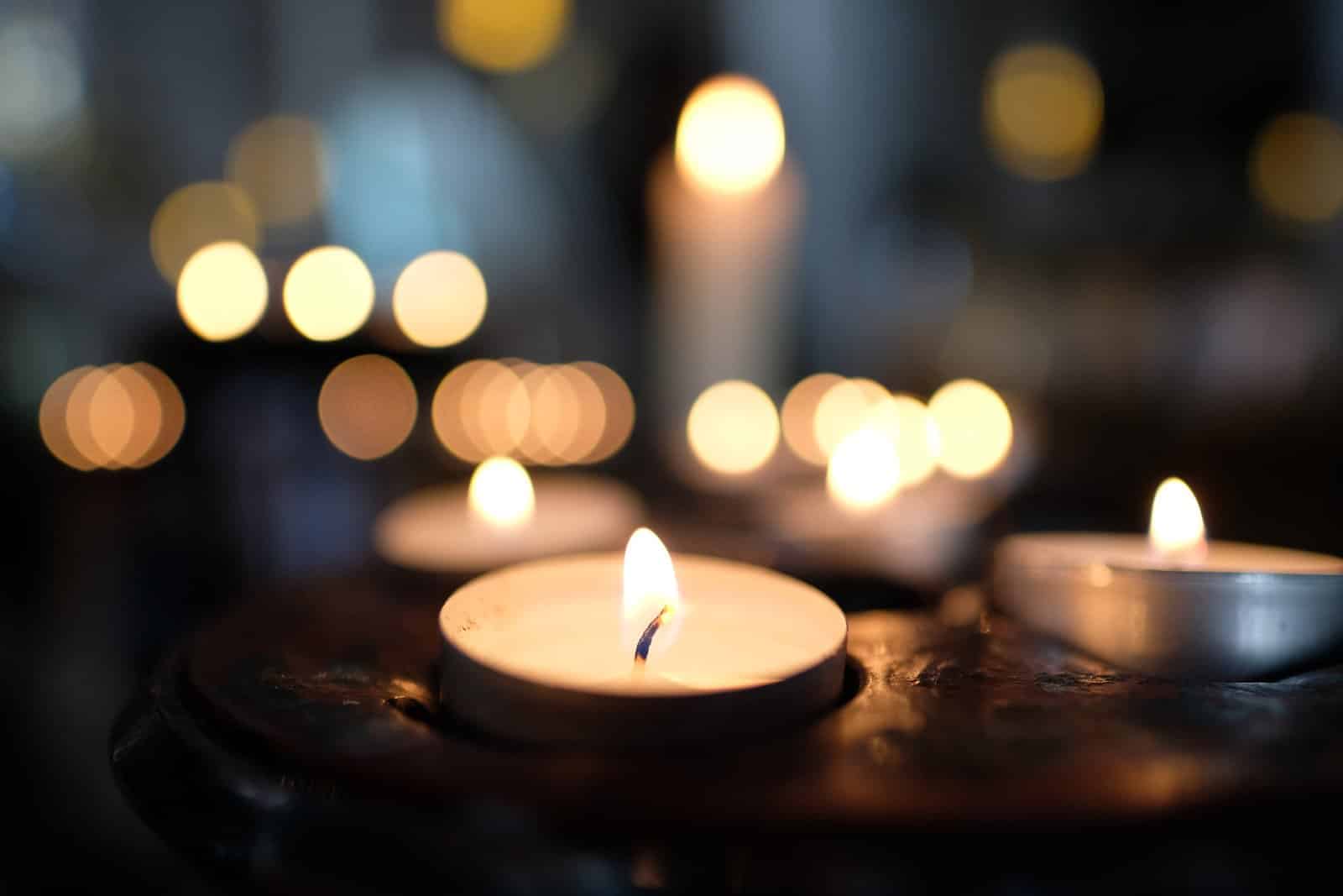 Não seja rude com os animais e não compre velas: Sinais para 29 de Novembro