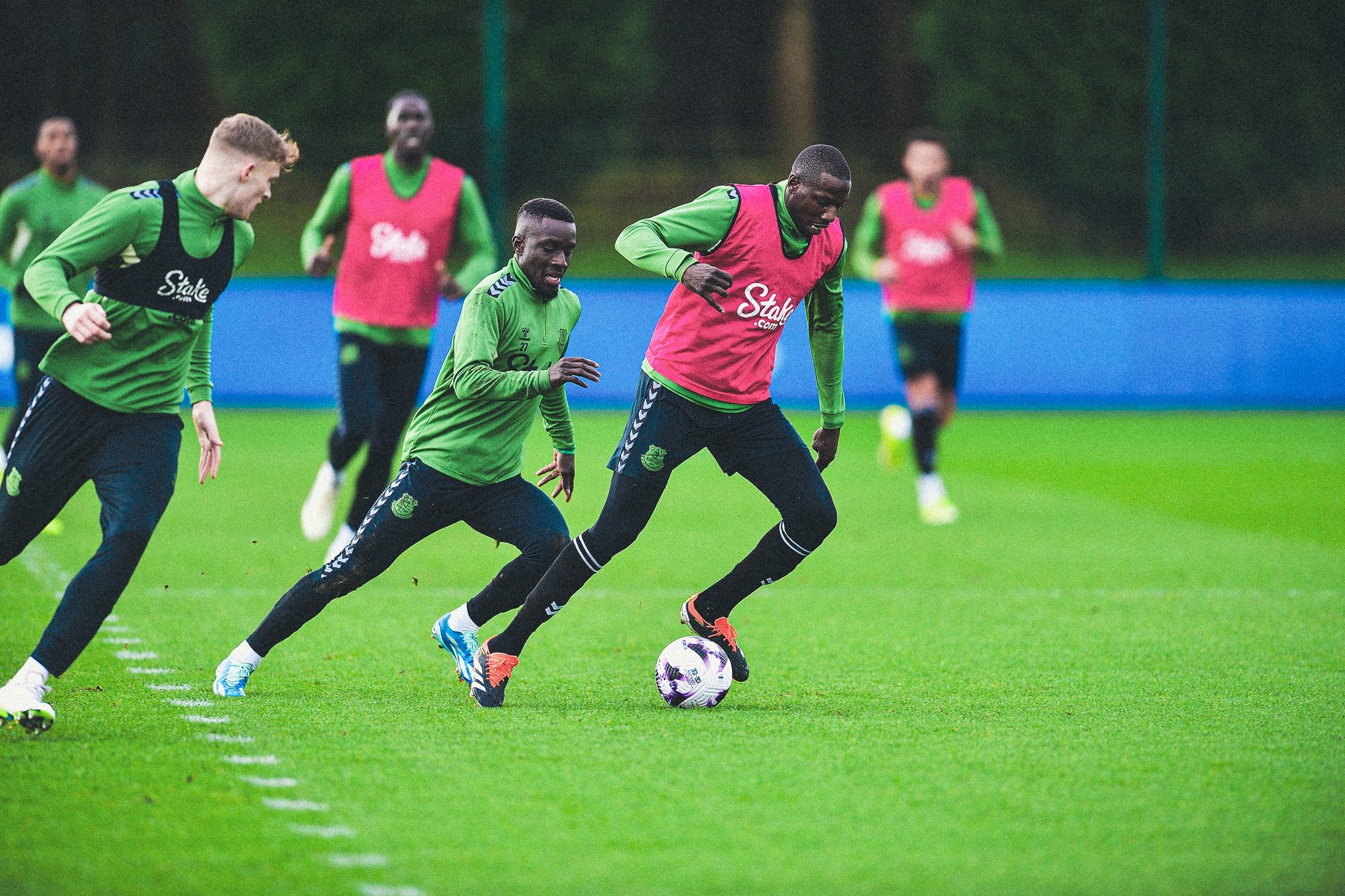 Everton x Crystal Palace ao vivo; onde assistir ao jogo do Everton nesta segunda-feira (19)