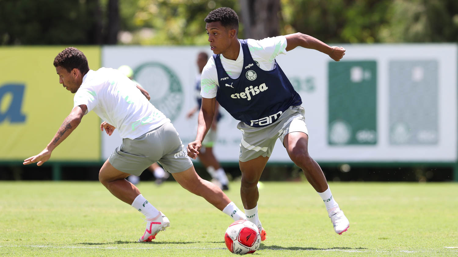 Palmeiras x Ponte Preta ao vivo; onde assistir, horário e escalações do jogo deste sábado (16) pelo Paulistão