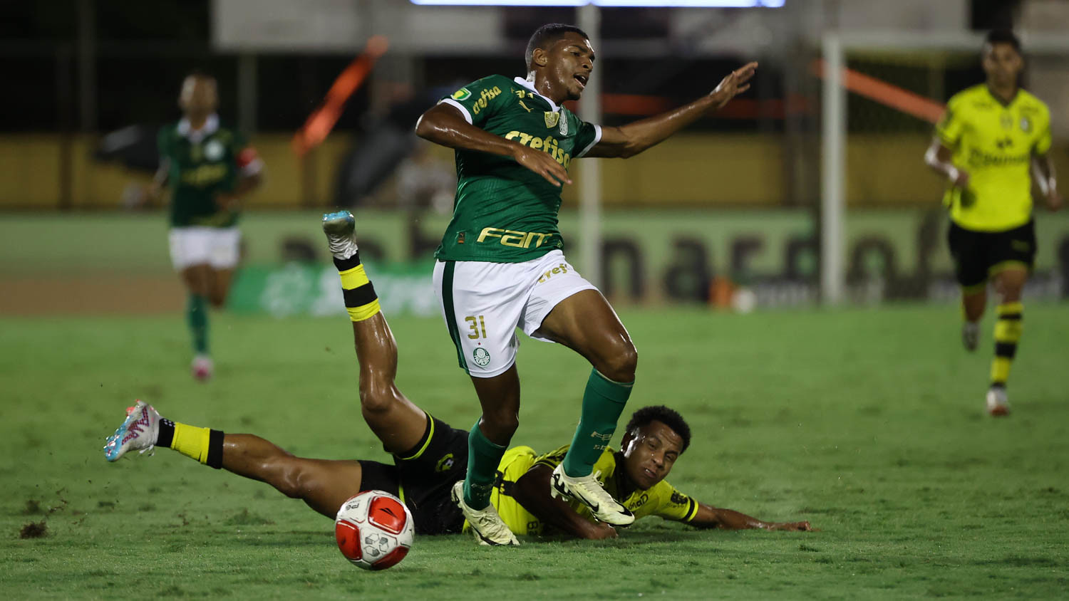 Palmeiras x Botafogo-SP ao vivo; onde assistir, horário e escalações do jogo deste sábado (9) pelo Paulistão