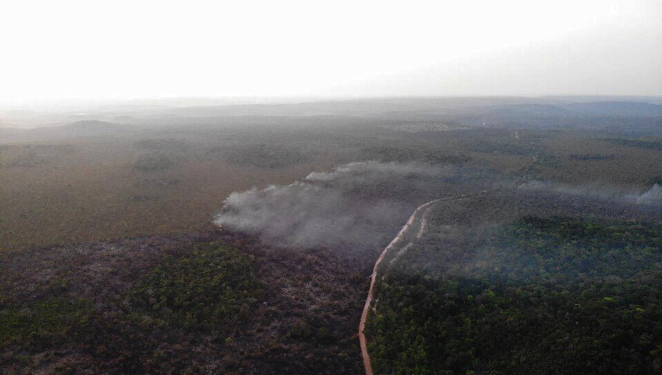 Área queimada no Brasil cresce 248% em relação a janeiro de 2023