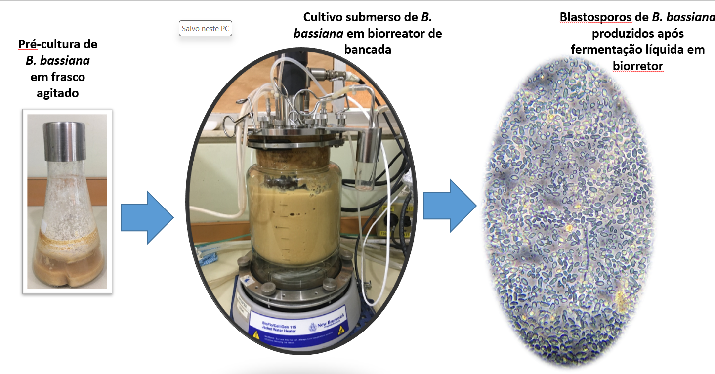 Descoberta científica pode contribuir com o controle biológico de pragas