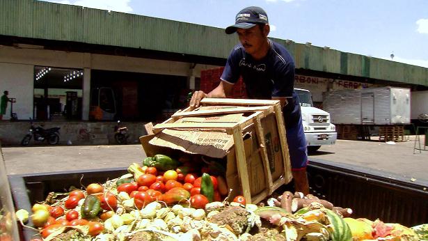 Pesquisa traz dicas sobre como reduzir desperdício de alimentos