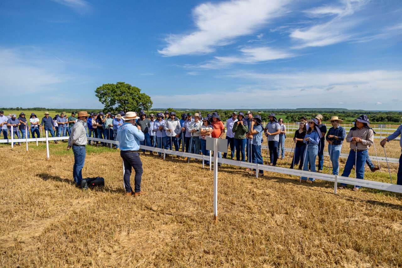 CTECNO Araguaia destaca estratégias de manejo para solos rasos e com alto teor de silte