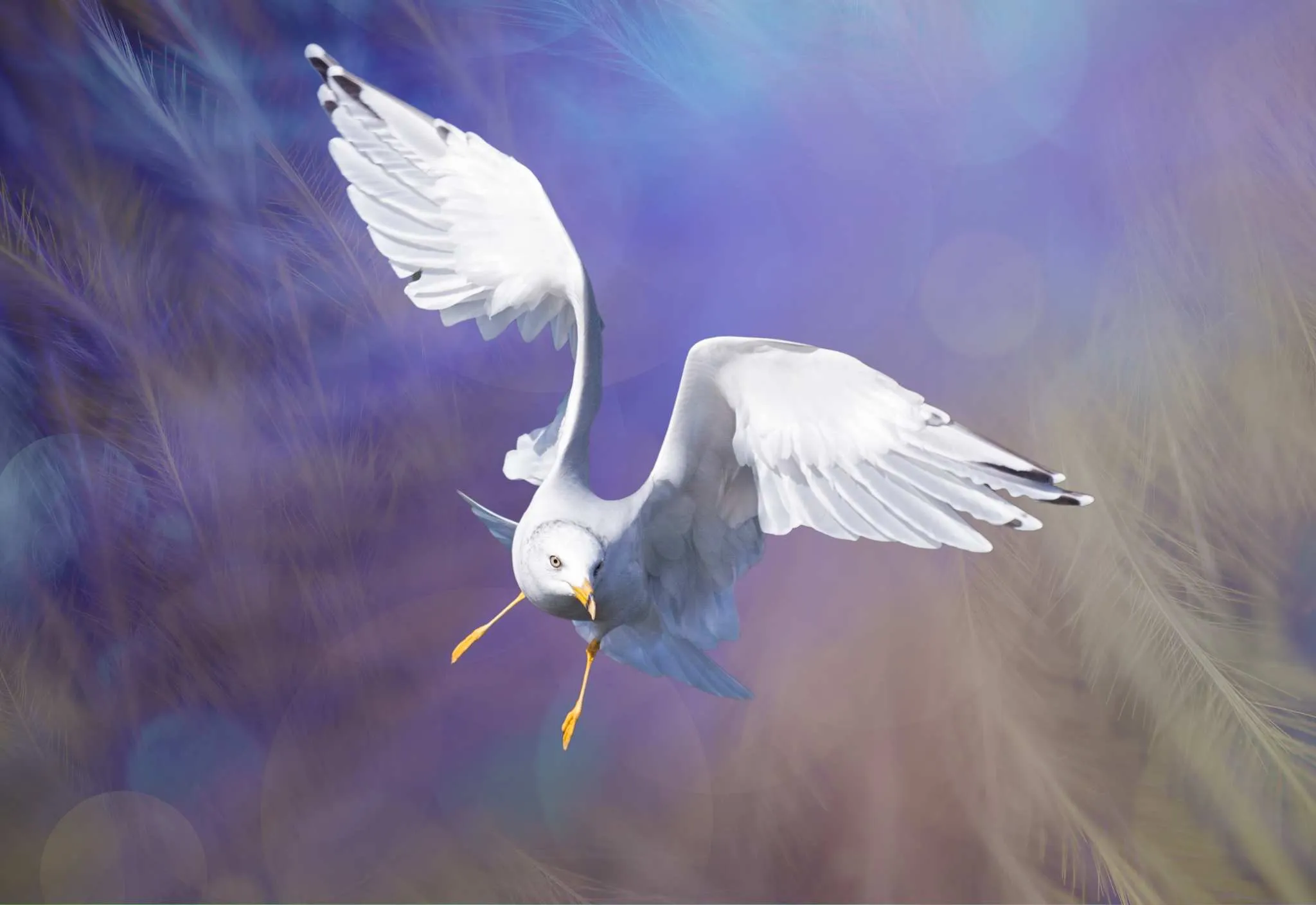 Anjo da guarda - Foto Canva