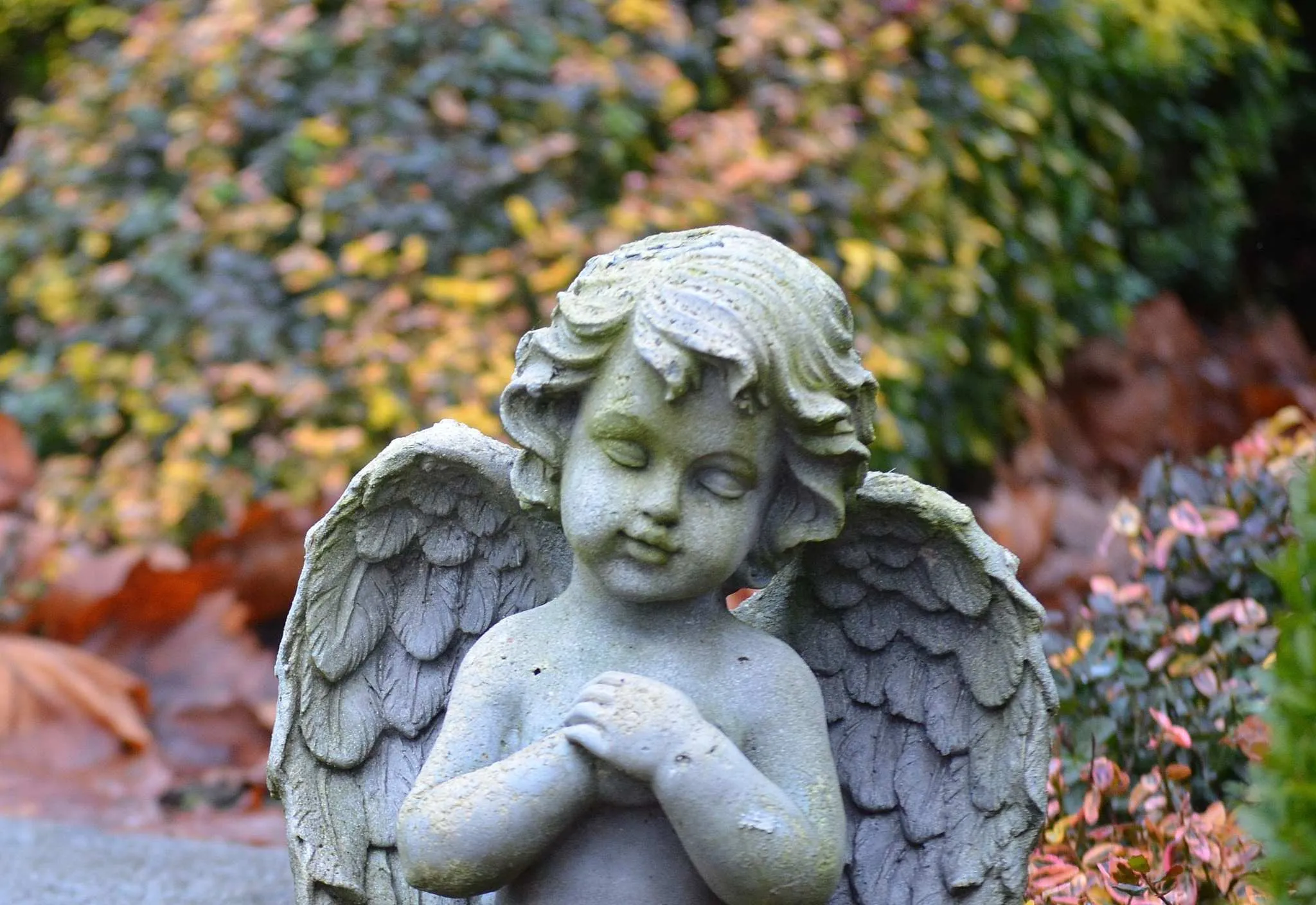 Assim é a mensagem do seu Anjo da Guarda para esta quarta (26/02) para Áries, Touro, Gêmeos, Câncer, Leão, Virgem, Libra, Escorpião, Sagitário, Capricórnio, Aquário e Peixes
