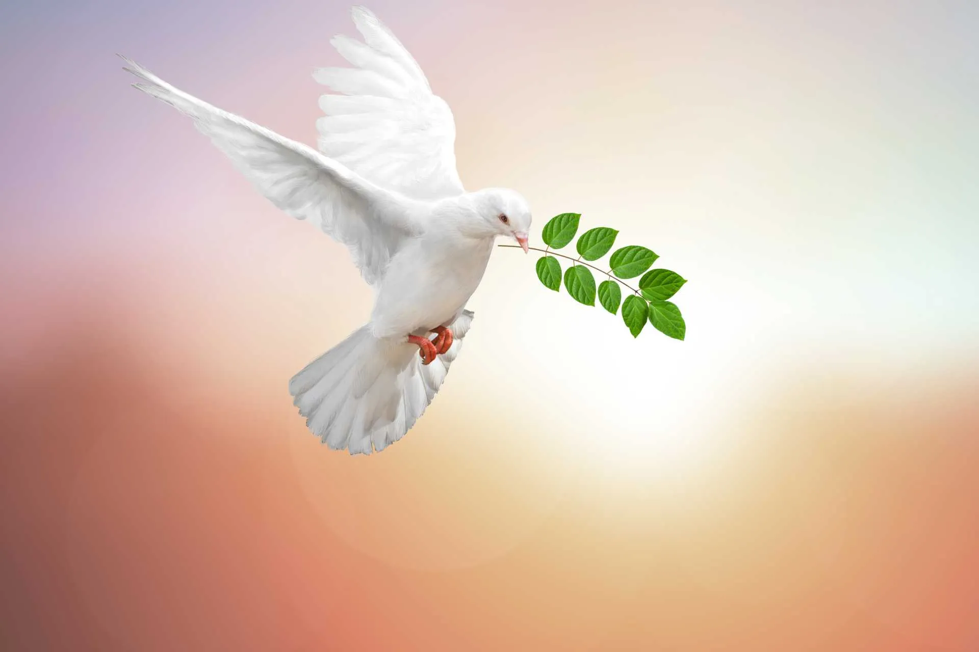 Puxa! Até que enfim o Anjo da Guarda atendeu seu pedido, os 2 signos que encontrarão a paz a partir de 7 de fevereiro