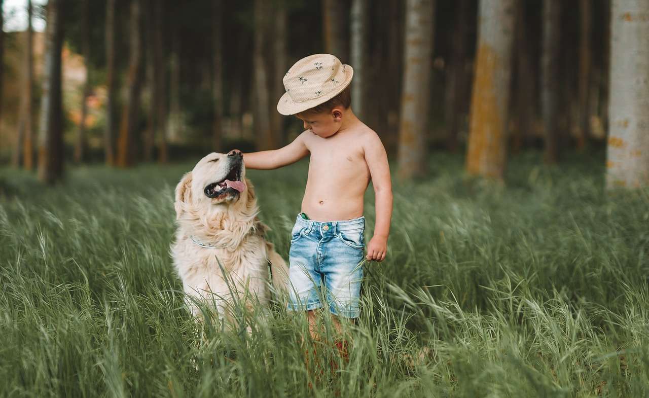 Brincadeiras que aproximam crianças e pets durante as férias