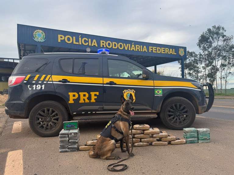 PRF apreende quase 47 kg de drogas e rebites em caminhão na BR-364 em Alto Garças