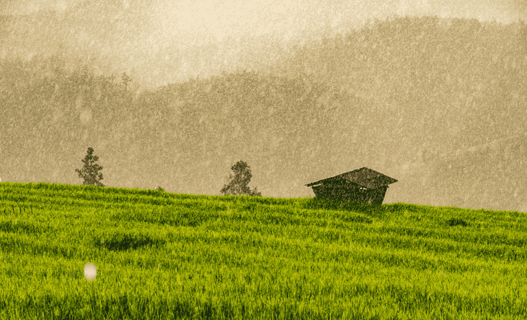 chuva propriedade rural