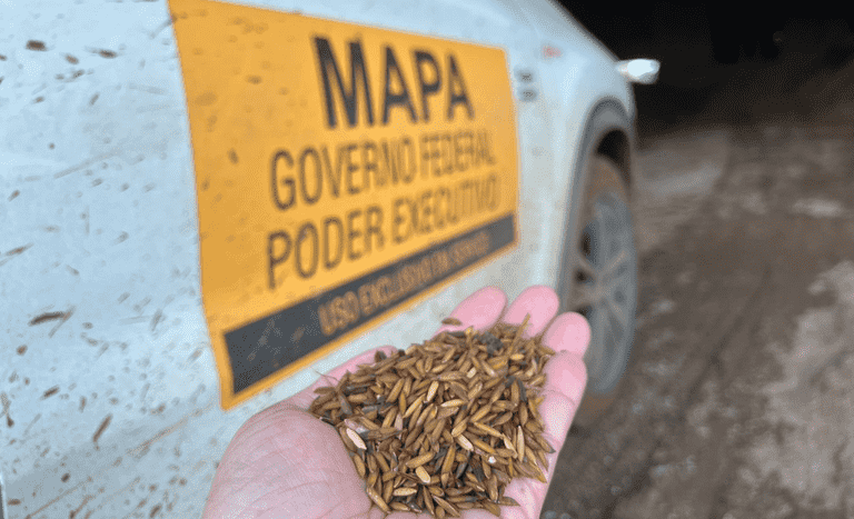 Mapa celebra convênio de R$ 21 milhões para fortalecer a defesa agropecuária no Rio Grande do Sul