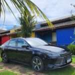 BYD King