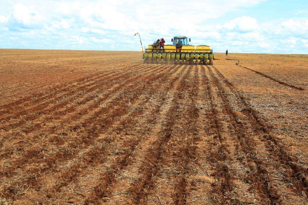 Indea prorroga prazo de cadastramento obrigatório de área cultivada de soja em Mato Grosso