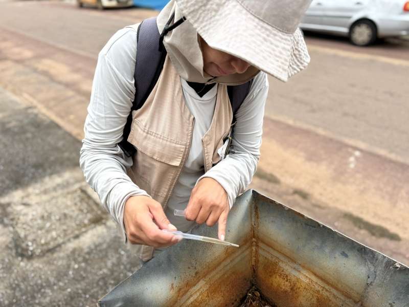 Mutirão contra dengue avança em Sinop