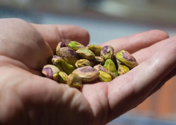 Pistaches: benefícios deliciosos e quantos deles podem ser consumidos sem consequências