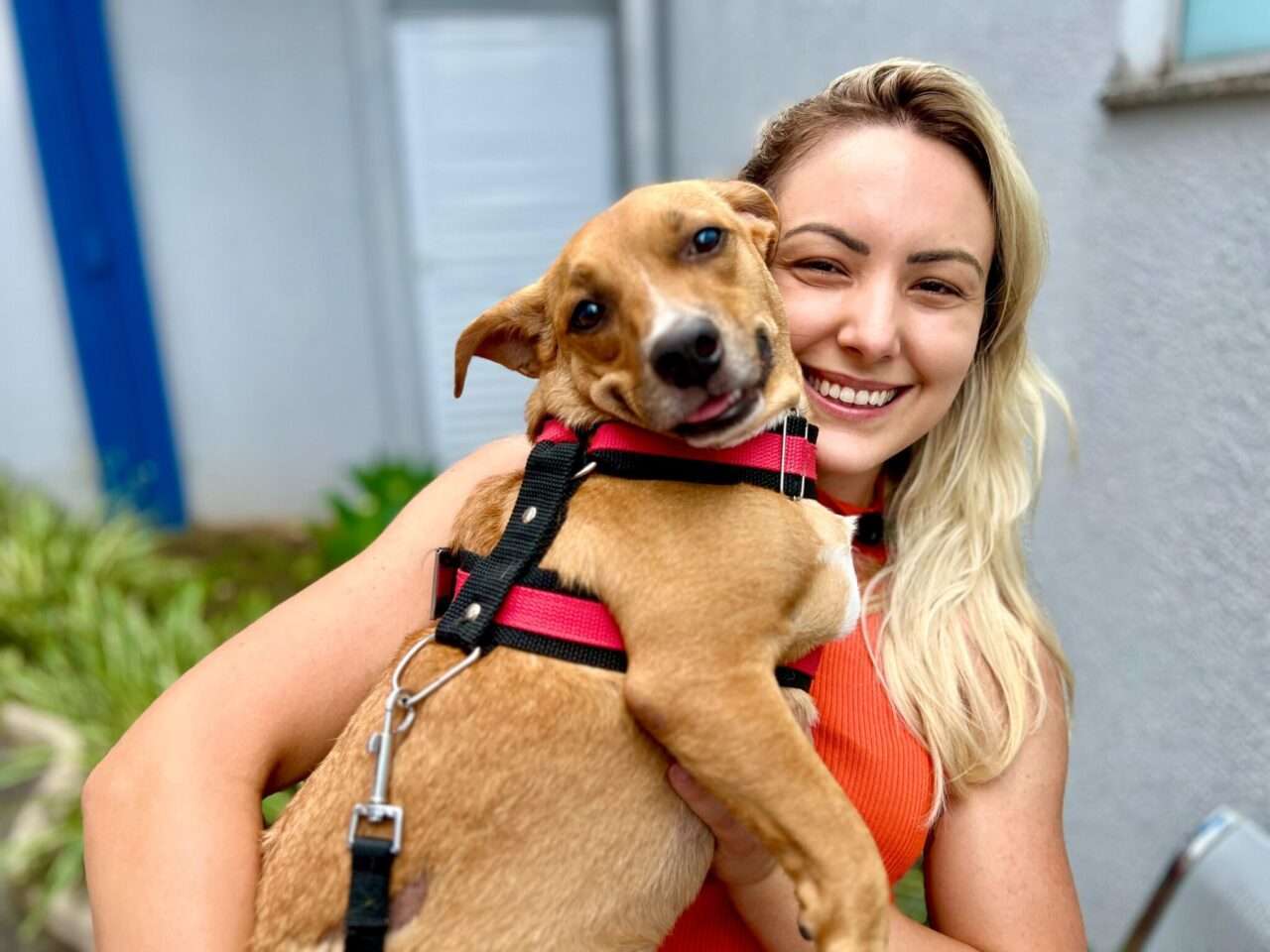 De cão resgatado a melhor amigo: Niki encontra um lar através do Projeto Pet Terapia no Hospital Regional de Sinop