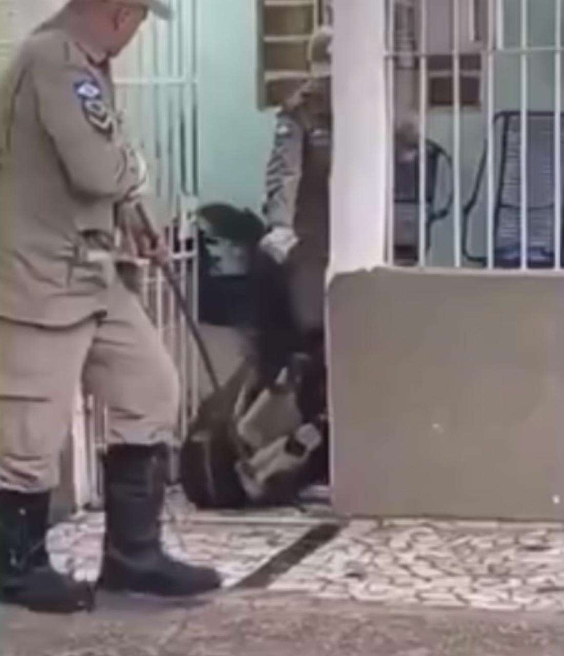 Tamanduá-bandeira invade casa e mobiliza equipes de resgate em Mato Grosso