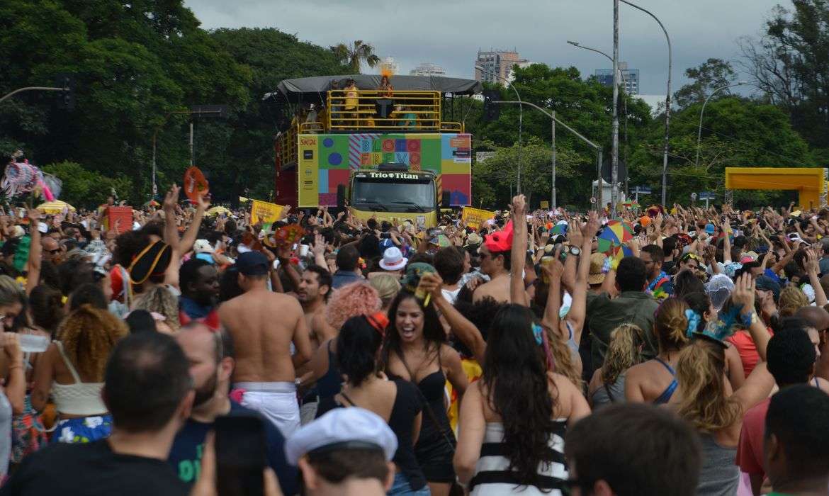 São Paulo - O trio elétrico do bloco Frevo Mulher, comandado pela cantora Elba Ramalho no Ibirapuera, arrasta uma multidão no pré-carnaval paulistano (Rovena Rosa/Agência Brasil)