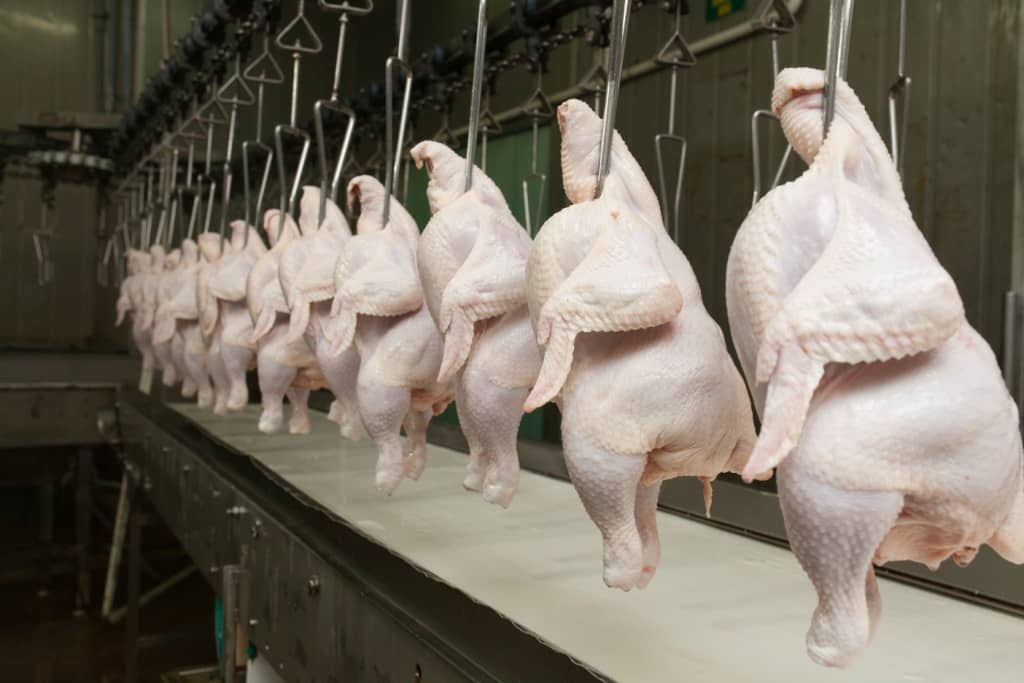 Carne de frango perde competitividade frente a substitutas
