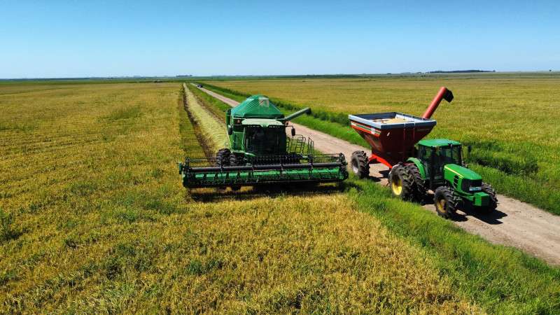 Preços do arroz caem para o menor patamar nominal desde out/22