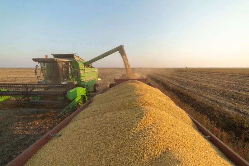 Mato Grosso projeta safra recorde de soja para 2024/25, com aumento de 20,76% na produção