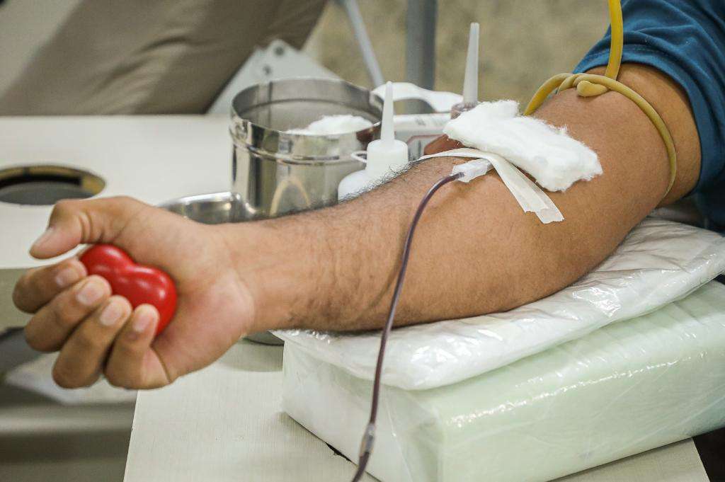 hemocentro 2