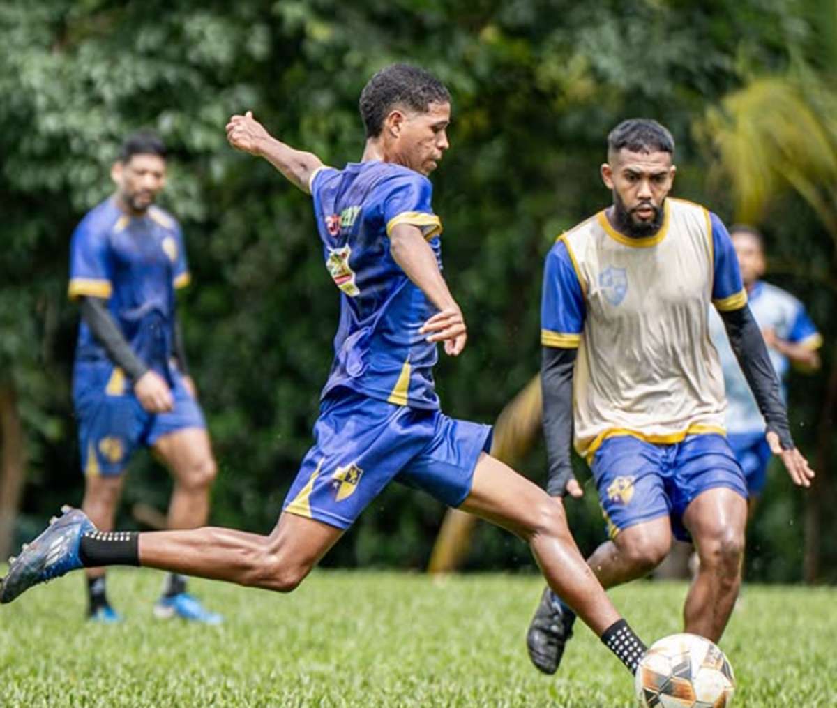 IAPE x Tuntum ao vivo; onde assistir ao jogo desta terça (18) pelo Campeonato Maranhense 2025