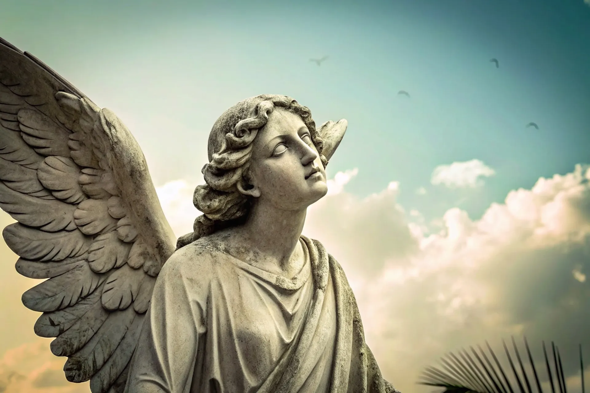 Mensagem do Anjo