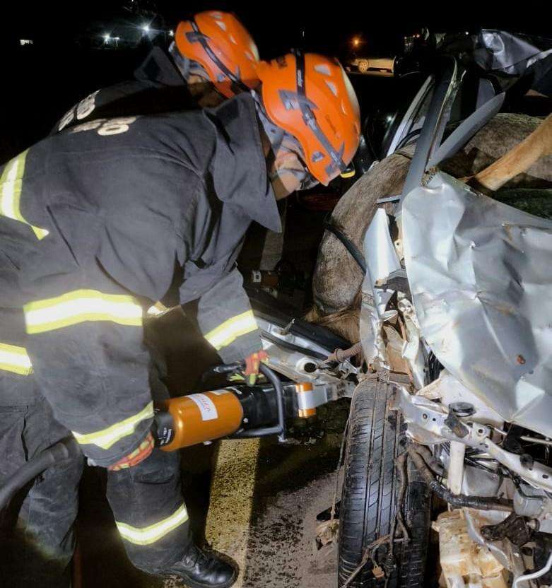 Bombeiros de Mato Grosso retiram corpos de homem e cavalo presos às ferragens após acidente na MT-170