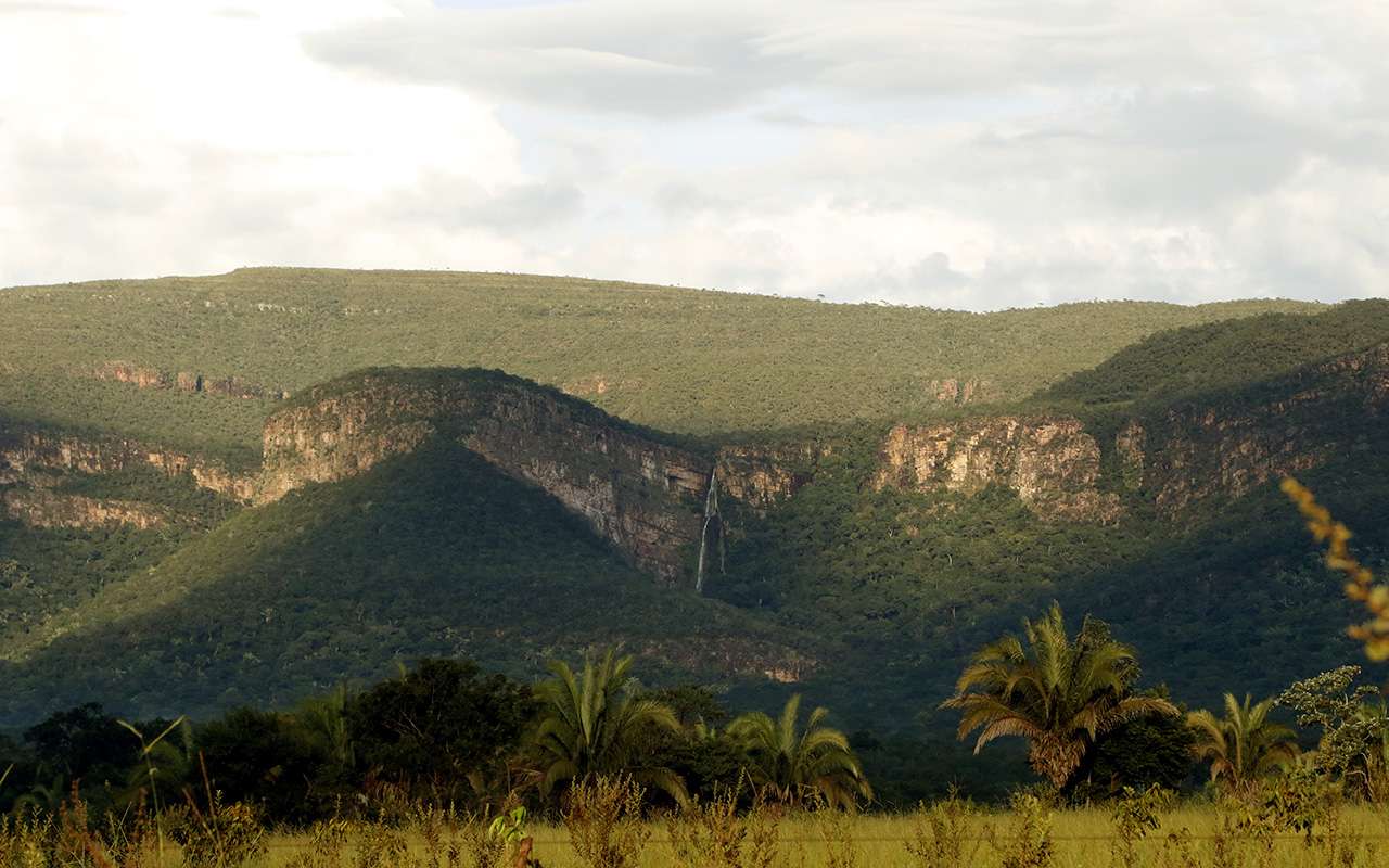 Proprietário rural tem bens bloqueados por danos ambientais em Mato Grosso