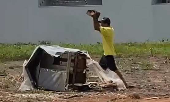 Morador destrói abrigo de cães em Lucas do Rio Verde e gera revolta nas redes sociais