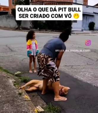 Pitbull finge desmaio para estender o passeio e conquista a internet