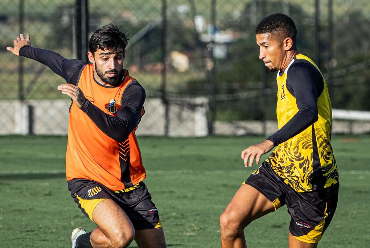 Novorizontino x Volta Redonda: Onde assistir ao vivo, escalações e tudo sobre o duelo pela Série B