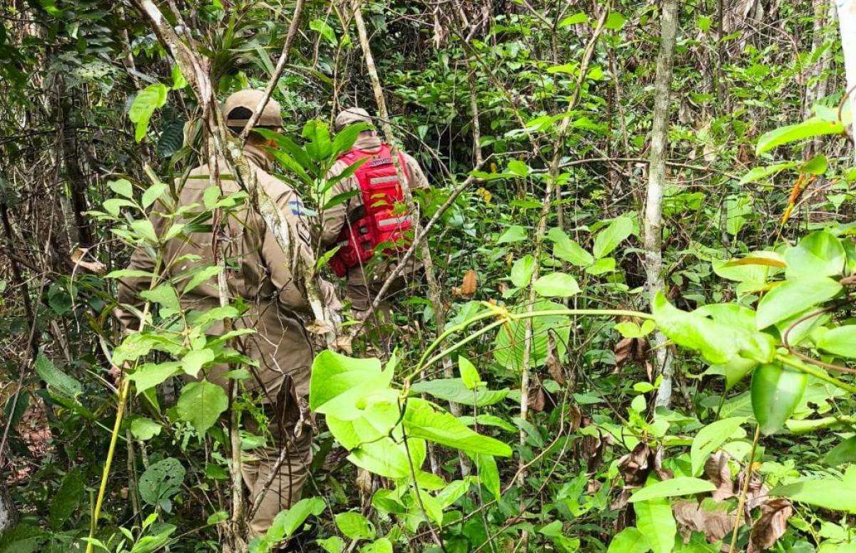 Aeronave cai em Mato Grosso: Piloto segue desaparecido