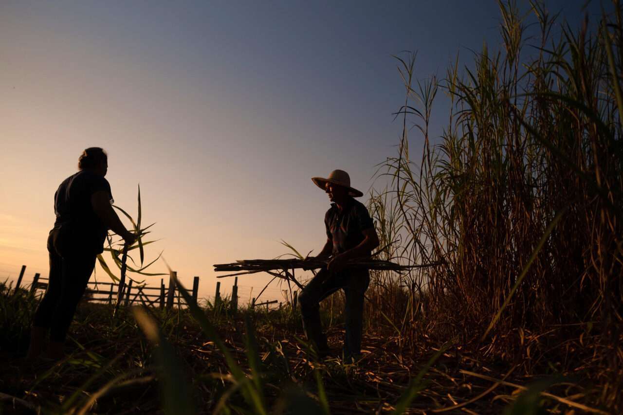 conflitos por terra
