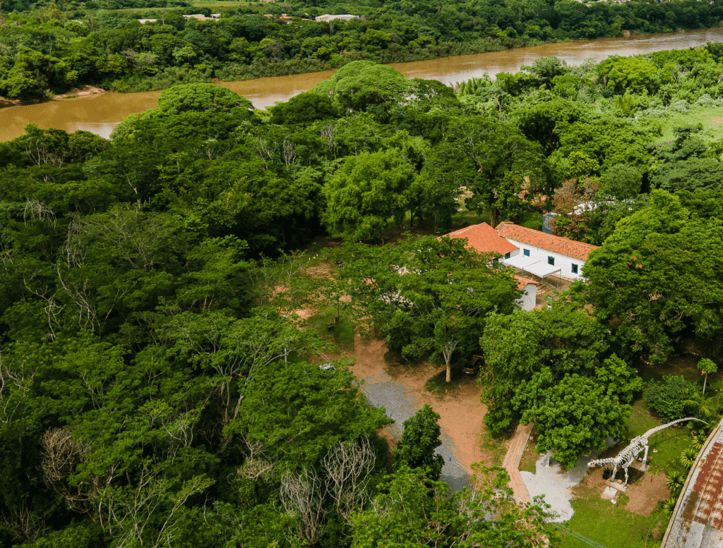 Exposição reúne faianças raras encontradas em escavações em Mato Grosso